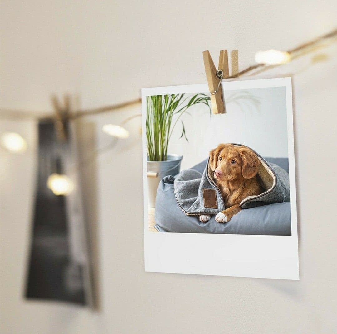 Фотопечать высокого качества